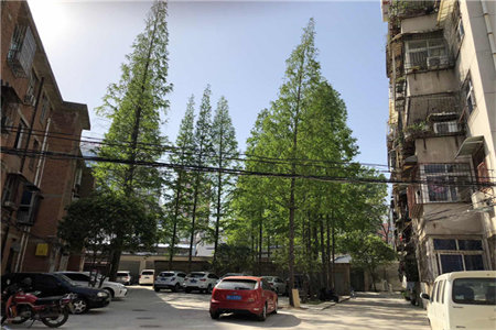 佛山小学附近华龙西苑2室2厅1卫62万80m2精装修出售